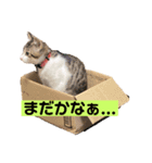 もずぽんすたんぷ3（個別スタンプ：2）