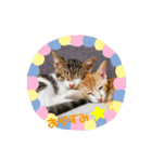 もずぽんすたんぷ3（個別スタンプ：4）