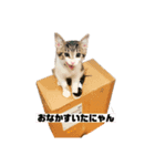 もずぽんすたんぷ3（個別スタンプ：5）