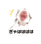 もずぽんすたんぷ3（個別スタンプ：6）
