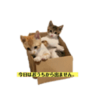もずぽんすたんぷ3（個別スタンプ：7）