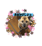 小梅のほのぼの日常no3（個別スタンプ：8）