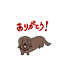 DOGs FOR DOG MOM（個別スタンプ：6）