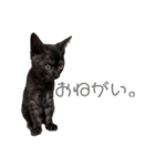 さよンプ（個別スタンプ：9）