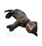さよンプ（個別スタンプ：11）