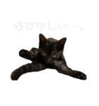 さよンプ（個別スタンプ：12）