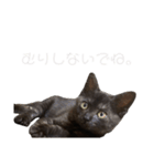 さよンプ（個別スタンプ：15）