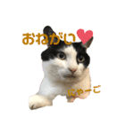 ゴロくんスタンプ2（個別スタンプ：7）