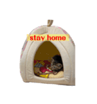 七味マヨネーズ（個別スタンプ：1）