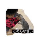 七味マヨネーズ（個別スタンプ：10）