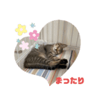 七味マヨネーズ（個別スタンプ：14）