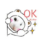 ゆっきーポンちょ（個別スタンプ：5）