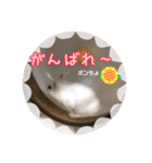 ゆっきーポンちょ（個別スタンプ：11）