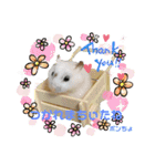 ゆっきーポンちょ（個別スタンプ：12）