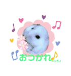 ゆっきーポンちょ（個別スタンプ：13）