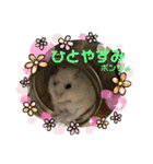 ゆっきーポンちょ（個別スタンプ：17）