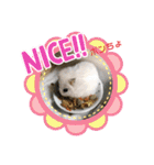ゆっきーポンちょ（個別スタンプ：18）