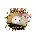 ゆっきーポンちょ（個別スタンプ：19）
