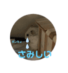 ゆっきーポンちょ（個別スタンプ：23）