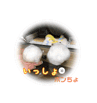 ゆっきーポンちょ（個別スタンプ：26）