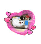 ゆっきーポンちょ（個別スタンプ：28）