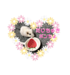 ゆっきーポンちょ（個別スタンプ：29）