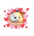 ゆっきーポンちょ（個別スタンプ：31）