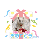 ゆっきーポンちょ（個別スタンプ：33）