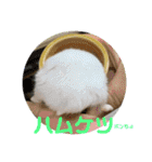 ゆっきーポンちょ（個別スタンプ：34）