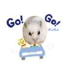 ゆっきーポンちょ（個別スタンプ：38）