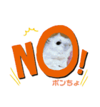 ゆっきーポンちょ（個別スタンプ：40）