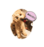 きなちゃんスタンプ4（個別スタンプ：8）