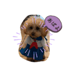 きなちゃんスタンプ4（個別スタンプ：19）