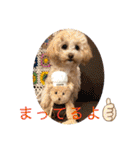 きなちゃんスタンプ4（個別スタンプ：28）