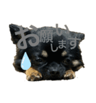 日常 2020.07.28（個別スタンプ：3）