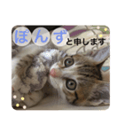 かわいいぽんず2（個別スタンプ：1）