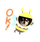 カイスタのんびり（個別スタンプ：5）