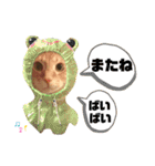 茶太郎と黒子の毎日4（個別スタンプ：16）