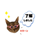 茶太郎と黒子の毎日4（個別スタンプ：19）