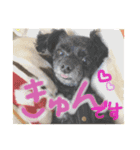 マロンしか勝たん！（個別スタンプ：4）