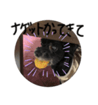 マロンしか勝たん！（個別スタンプ：8）