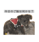 マロンしか勝たん！（個別スタンプ：9）