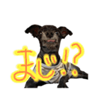 マロンしか勝たん！（個別スタンプ：13）