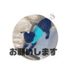 マロンしか勝たん！（個別スタンプ：14）