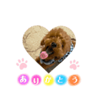 ゆずララの日常♡時々ハッチ②（個別スタンプ：5）