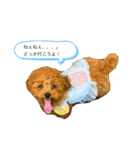 ゆずララの日常♡時々ハッチ②（個別スタンプ：6）
