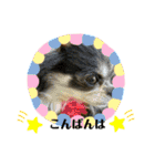 ゆずララの日常♡時々ハッチ②（個別スタンプ：8）