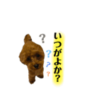 ゆずララの日常♡時々ハッチ②（個別スタンプ：18）
