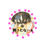 ゆずララの日常♡時々ハッチ②（個別スタンプ：19）