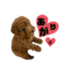 ゆずララの日常♡時々ハッチ②（個別スタンプ：24）